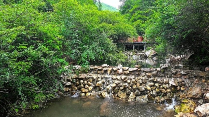 202507211753057687119946.jpg 微信图片_2025-07-21_082650_721.jpg