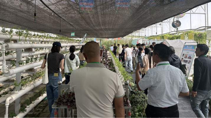 202509181758155239115579.png 图片3.png