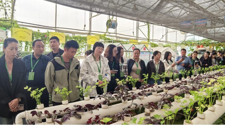 202509301759192840113160.png 图片2.png